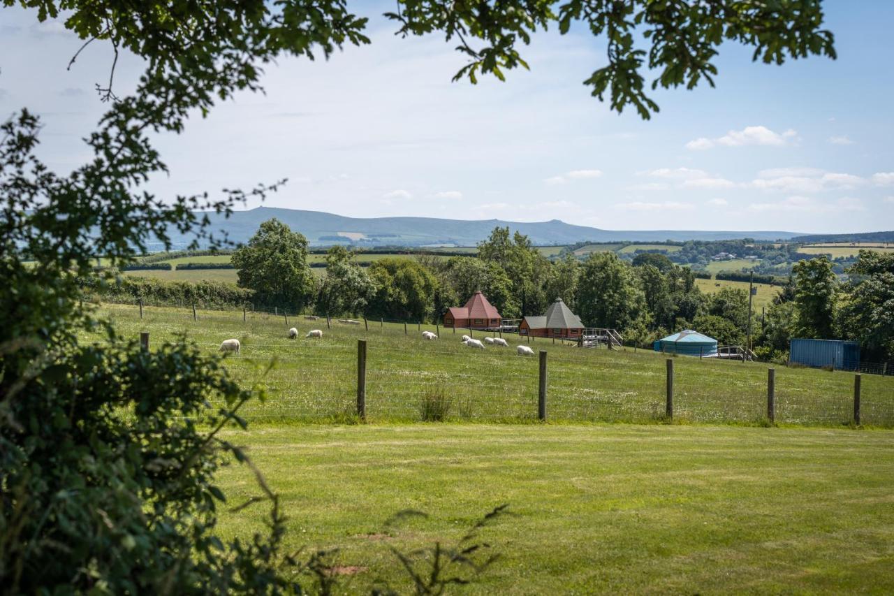 Apartment Dartmoor Eco-pod - Oak Tree Lane *