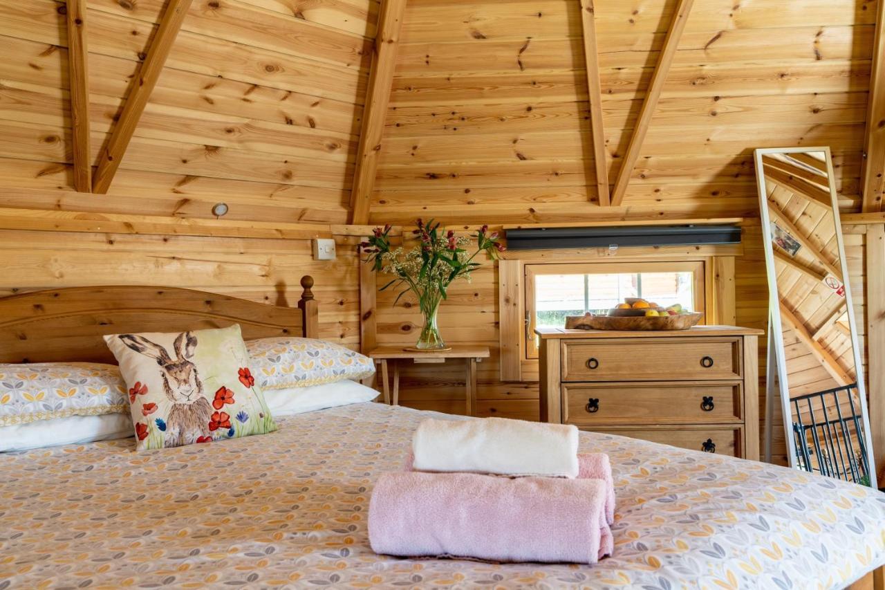 Dartmoor Eco-pod - Oak Tree Lane Apartment Okehampton