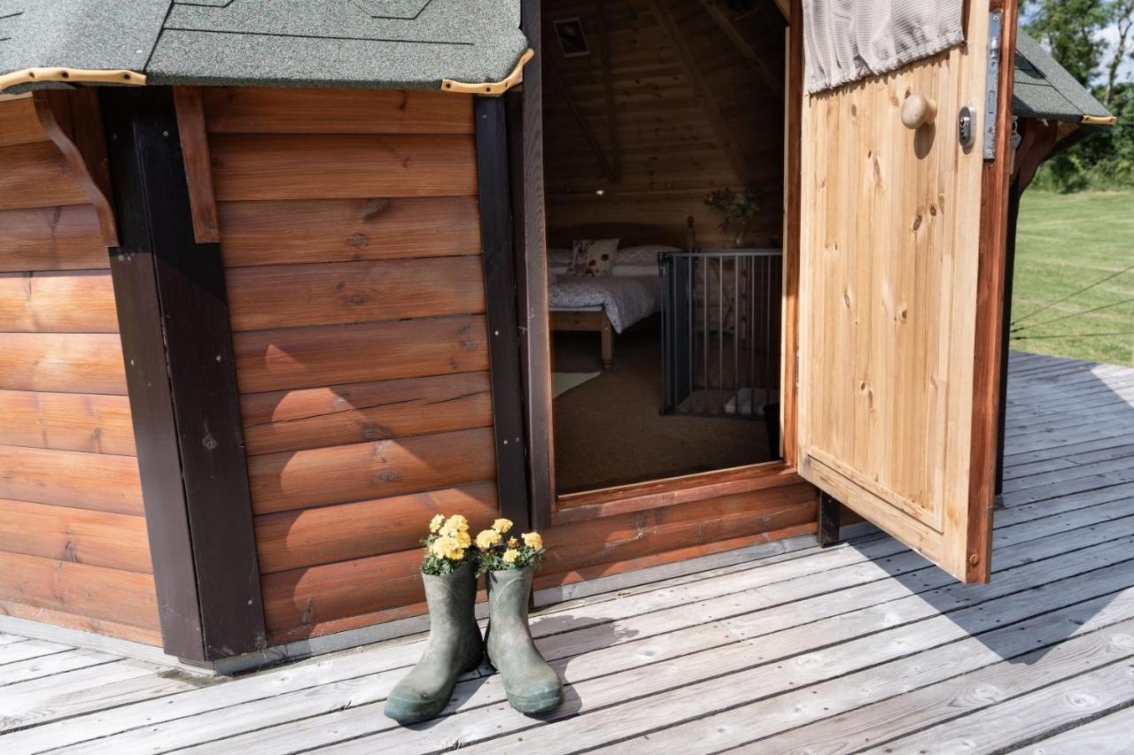 Dartmoor Eco-pod - Oak Tree Lane *