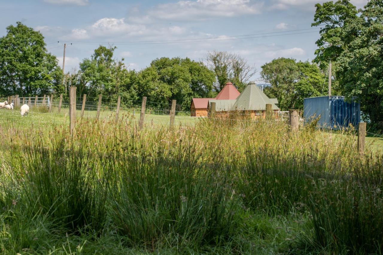 Dartmoor Eco-pod - Oak Tree Lane Apartamento