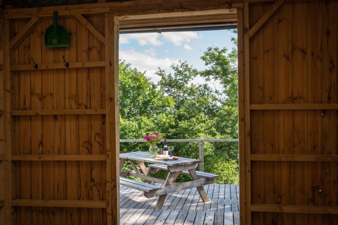 Dartmoor Eco-pod - Oak Tree Lane Okehampton