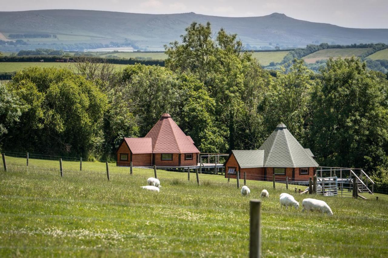 Dartmoor Eco-pod - Oak Tree Lane Apartment *