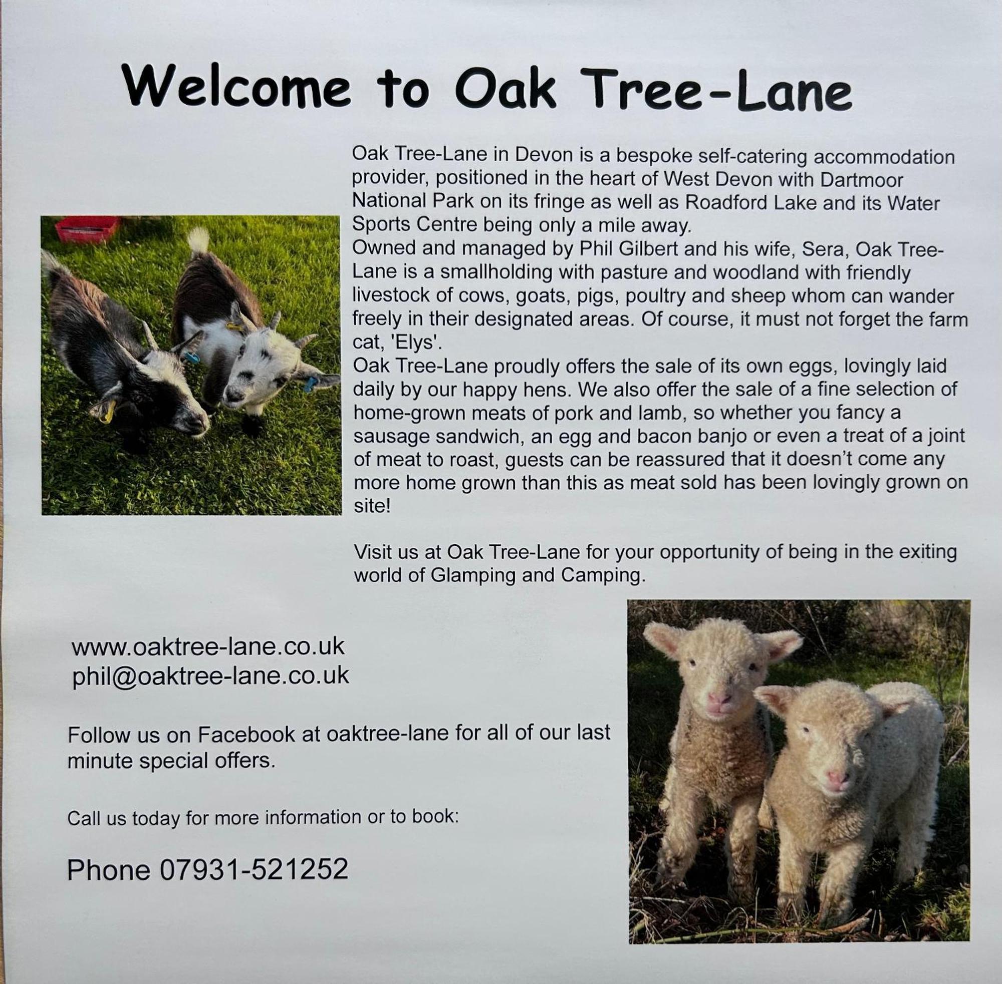 Dartmoor Eco-pod - Oak Tree Lane Okehampton